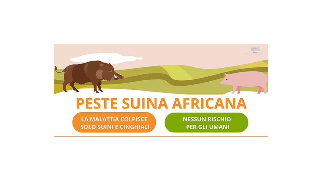 Peste suina africana